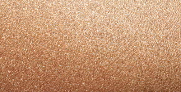 Sanex test type de peau peau normale